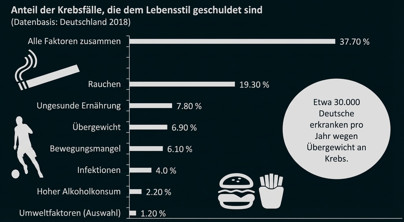 Balkendiagramm: Anteile von Krebsfällen durch Lebensstil (Rauchen 19,3%, Ernährung 7,8%, Übergewicht 6,9%) mit Icons Zigarette, Fastfood, Sport.